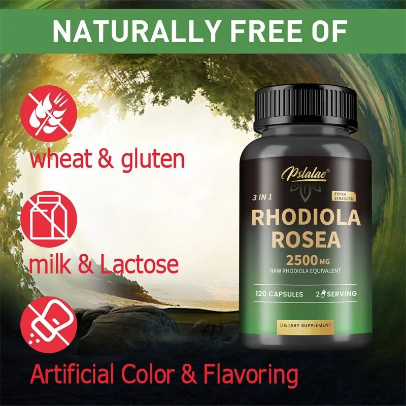 Adaptogenic Rhodiola Capsules – Energy, Focus & Performance Enhancer