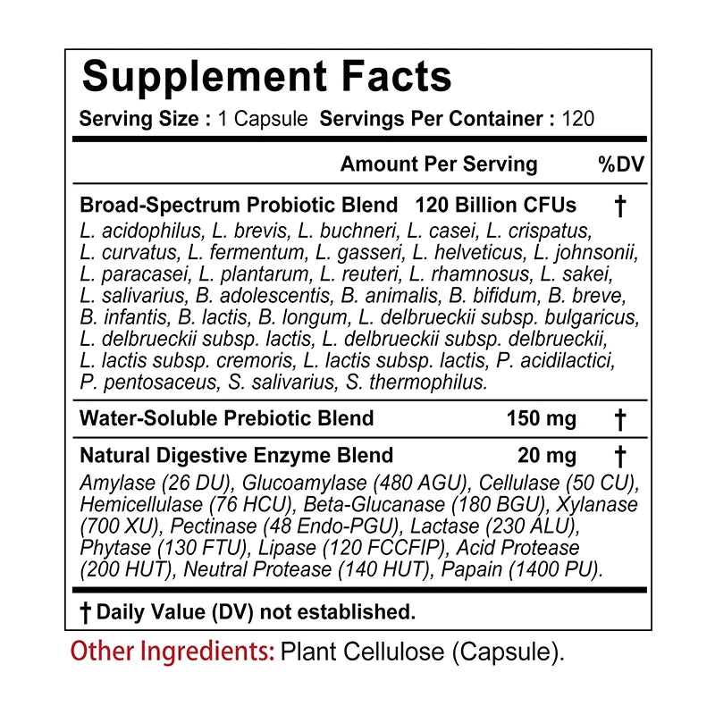 Probiotics + Prebiotics + Digestive Enzymes – Digestion, Immunity & Gut Health Support
